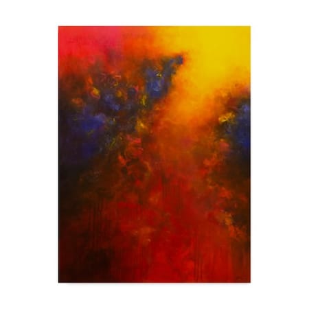 Aleta Pippin 'Cascading Light' Canvas Art,35x47